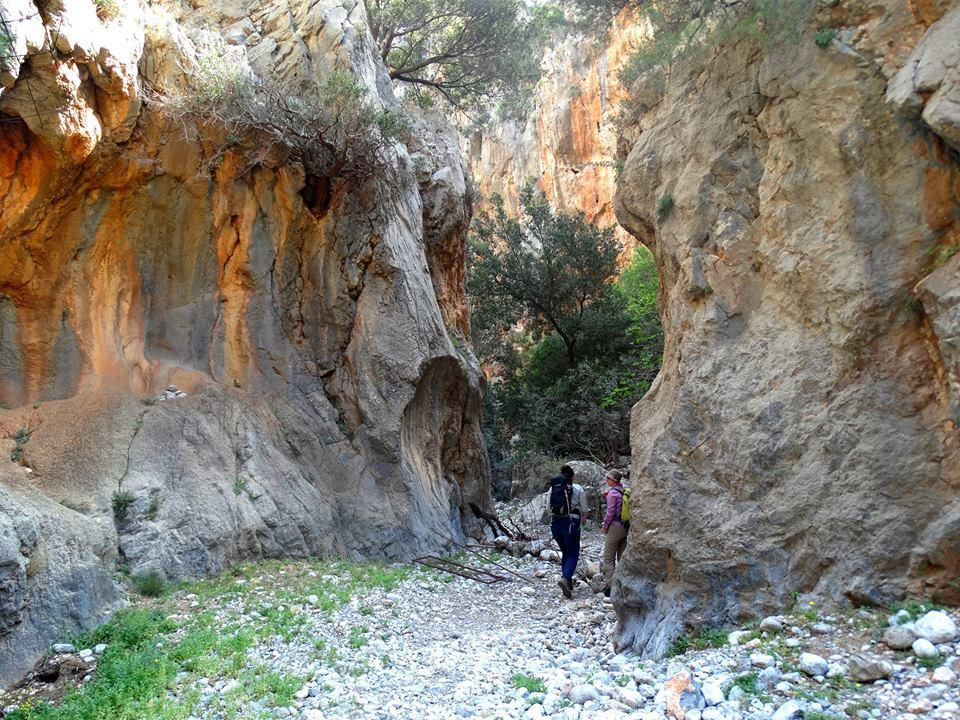 Tania Village Zakros Maisonette Exterior foto
